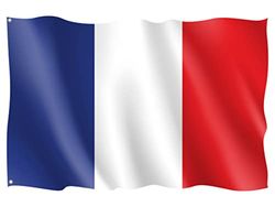 OEDIM Frankrikes flagga | 150x85cm | Förstärkt och med spetsar | Flagga med 2 metallöljetter och vattentät