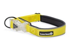 Beeztees Safety Gear Parinca Premium - Collare per cani a LED, in nylon
