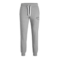 Jack & Jones Jpstgordon Jjandy joggingbroek voor heren, Lichtgrijs chinees, XL