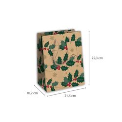 Clairefontaine X-31331-3Cpack geschenkzakjes, kraftpapier, middelgroot, 21,5 x 10,2 x 25,3 cm, 210 g, motief: kersthulst, geschenkverpakking, ideaal voor: boek, spel, kleine geschenken