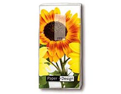 Baguettes Helianthus 11 x 5,5 cm. -10 u.