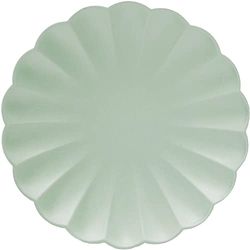 Ciao - Composteerbare FSC kartonnen borden (diameter 20 cm), 8 stuks, mintgroen diameter 20, 34739