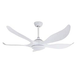 Wonderlamp Fan Ventilateur de plafond 20 W LED intégré 5 pales 3 tons de lumière Télécommande incluse, blanc