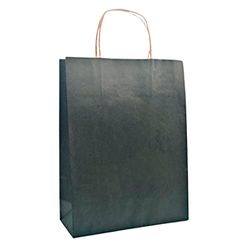 Raylu Paper® - Pack of 25 Kraft Paper Bags with Sturdy Handles, 100% Recyclable Paper Bags for Shopping, Sweets or as a Birthday Gift, Black, Medium (32 x 12 x 42 cm)