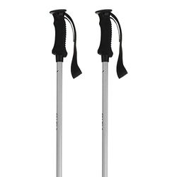SALEWA Puez Pro Aluminium Sticks
