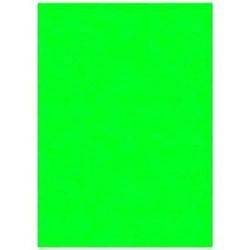 Displast Binding Covers Pistachio A4 Cardboard (50 Units)