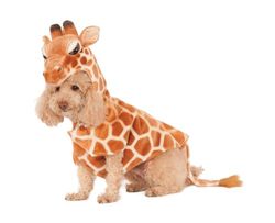 Rubies Costume Company giraff huvtröja för husdjur, Small, flerfärgad