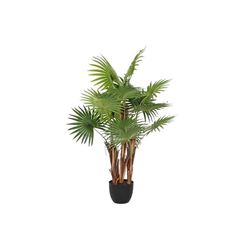 PLANTA PP PE 88X81X120 VERDE