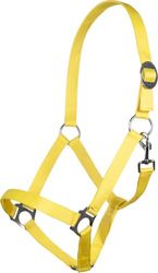 HKM 544141 Licol Stars Economy Softice