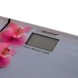 Esperanza Hope – ebs010 Bathroom Scales – Orchid