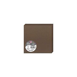 Clairefontaine - Ref 12879C - Pollen Folded Card (Pack of 25 Sheets) - 135 x 135mm Sized, 210gsm Card, Inkjet & Laser Printer Compatible, Acid Free - Nectar