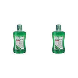 ESI - Aloe Fresh, Collutorio Zero Alcol, con Estratti di Pompelmo e Xilitolo, Aiuta a Ridurre la Placca e l'Alitosi, Protegge le Gengive e Favorisce la Prevenzione delle Carie, Gusto Menta, 500 ml