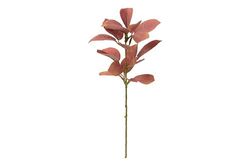 Caladium tweekleurige deken met mortel, 50 x 50 x 70 cm
