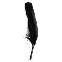 RAYHER HOBBY 85461576 Goose Feather 16 – 20 cm – Pack of 8 – Black