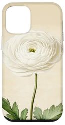 Ranunculus Floral Vintage Scientific Illustration Flower Case for iPhone 12/12 Pro