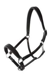 PFIFF Platine, Dundee Licol en Cuir Marron, Full