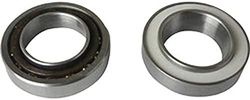 Campagnolo Ricambio Kit de Reparación Buje, Unisex Adulto, Plata, Talla Única