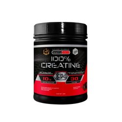 Healthy Fusion Creatine Monohydrate | Créatine pure microfiltrée avec vitamine B6 | Favorise la croissance musculaire | Créatine monohydrate en poudre aromatisée au chocolat | 30 portions