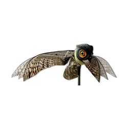 Bird-X Uil, levensechte vogelverschrikker met glazen ogen en bewegende vleugels, eenvoudig te installeren, perfect tegen duiven, haviken en meer, dekt tot 6.000 vierkante meter, zwart, klein
