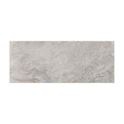 PORCELANOSA - 100293271 - Image Silver 59.6X150