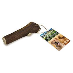 ARQUIVET Corno di cervo - Corno da masticare per cani ecologico - Corno di cervo per cane - Corno da masticare naturale - Corno di cervo raccolto autunnale - XL - 151-225 g