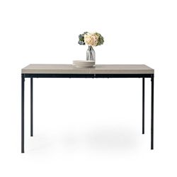 FurnitureR Natural Wood Rectangular Dining Mesa, L-120 cm para 4-6 Personas, Minimalist Design Thick Wood Top with Metal Frame, Versatile Use for Home Or Office, for Outdoor & Interior, 120 x 70 x 75