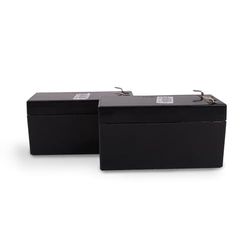 SCS Sentinel - AAM0127 - Kit met 2 noodbatterijen - 12 / 24V - 30 CM