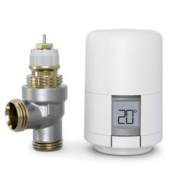 Hive Radiatorbediening - Hoofd en Lichaam