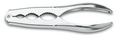 3 CLAVELES CASCANUECES CROMADO 16 cm D 3C 00575, Acciaio, Gris, 23.290000000000003x7.39x1.2 cm