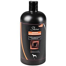 arppe 2900019100 Conditioner Shampoo, 1 Litre