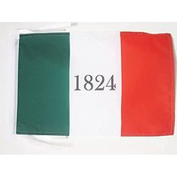 AZ FLAG - Drapeau Alamo 1824-45x30 cm - Pavillon Américain - Usa - Etats-Unis 100% Polyester Avec Deux Cordelettes - 20g