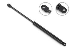 Stabilus Industry Gas Spring 082538