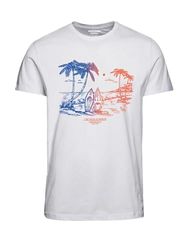 JACK&JONES PLUS JORARUBA Tee SS Crew Neck 1 FST PLS, wit (bright white), 4XL