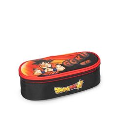 Dragon Ball Super - Official Dragon Ball Oval School Case, Ideal for Storing Stationery, with Internal Divider with Elastic Loops and Practical Zip Closure, 22 x 7 H x 9.5 cm, multi-coloured, Dragon