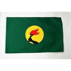 AZ FLAG - Zaire Flag - 3x5 Ft - 100D Polyester Congolese Banner with Two Metal Grommets - Fade Resistant - Vivid Colors - 3' x 5' Feet - 150x90 Cm