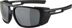 ALPINA Unisex - Volwassenen, SKYWALSH Sportbril, black matt/black, One Size