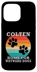Colten Home For Wayward Dogs Family Name Case for iPhone 14 Pro Max