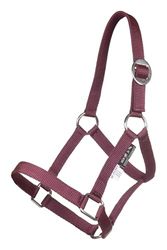 HKM Shetty grimma-4159 Vin, Röd Mini Shetty