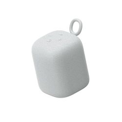 Sony Enceinte LinkBuds - Enceinte Portable sans Fil Bluetooth, IPX4, Résistante à l'eau, Batterie de 25 Heures, Qualité d'Appel Clair, Outdoor, Voyage -Gris Clair
