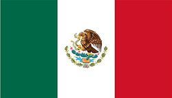 SHATCHI Grand drapeau mexicain mexicain 152 x 91 cm - Pour événements sportifs, pub, barbecue, nourriture, table de support - Décoration Olympique - Polyester