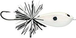 Rapala - Visaas BX Skitter Frog Construction Balsa/Plastic - Drijvend zoetwater kunstaas - Zwemdiepte Oppervlak - Maat 5,5cm / 13g - Gemaakt in Estland - Blad Bone