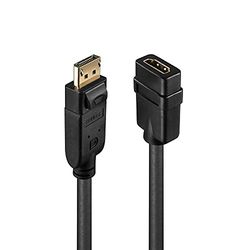 LINDY Câble Adaptateur DisplayPort vers HDMI 1080p