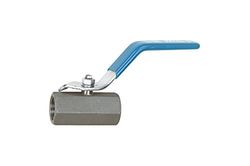 RIEGLER 103480-374.04-ES 1.4408 - Válvula de bola de acero inoxidable (1 pieza, serie pequeña, G 3/4, DN 12,5, 1 unidad)