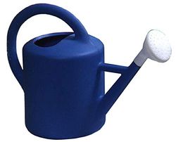PASCOR Arrosoir 12 l