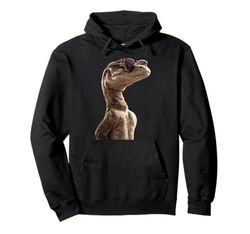 Lizard Reptiles Komodo Banded Dragon Water Monitor Lizard Pullover Hoodie