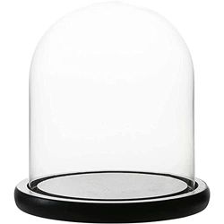 WHOLE HOUSEWARES Dekorativ glaskupol | bordsuppsats | Cloche Bell Jar Display Case | Svart MDF-bas, 14,5 cm D x 16,5 cm H klar 15 cm lång