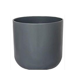 Lissabonplanter ljusgrå D 13,5 cm