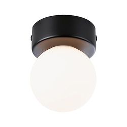 Paulmann 71068 Plafonnier Selection Bathroom Gove IP44 G9 230V Max. 20W gradable Noir Mat, Satin luminaire de Salle de Bain