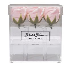 Blush & Blossom C09B Fiori, Rossore