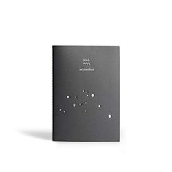 PdiPigna - Notebook with Constellation, Your Sign Aquarius